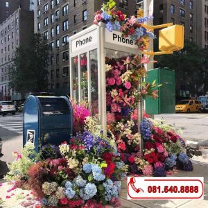 Bốt điện thoại trang trí sapa, thẩm mỹ viện