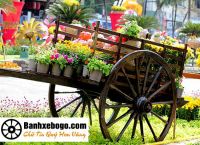 Bánh xe bò tại Bình Dương