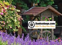 Bánh xe bò tại Long An