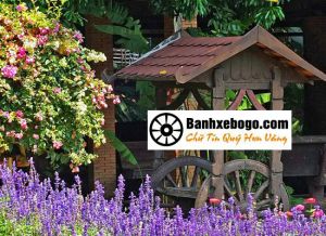 Bánh xe bò tại Vĩnh Long