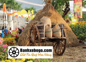Bánh xe bò tại Thanh Hóa